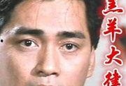 羊羔大律师在线观看
