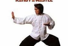功夫在线观看免费观看,免费畅享经典武术盛宴