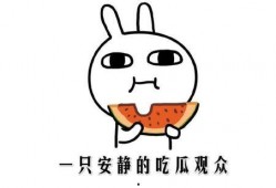 吃瓜娱乐配音制作方法,打造你的专属趣味声音