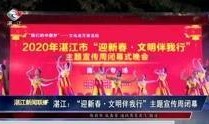 湛江最快爆料新闻
