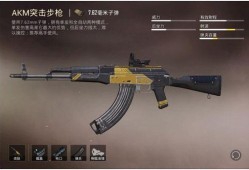 和平精英新枪械爆料最新,神秘性能引发玩家热议