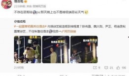 综艺爆料字幕怎么做视频,视频内容速览