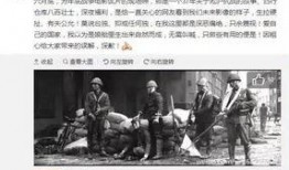 厦门娱乐爆料事件始末,真相与争议的漩涡