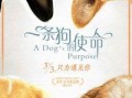 娱乐吃瓜酱去世的小狗,吃瓜酱离世，网友泪目