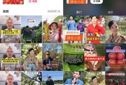 西安周至爆料事件视频,视频揭露惊人真相